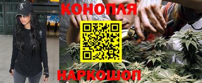 индика Кулебаки