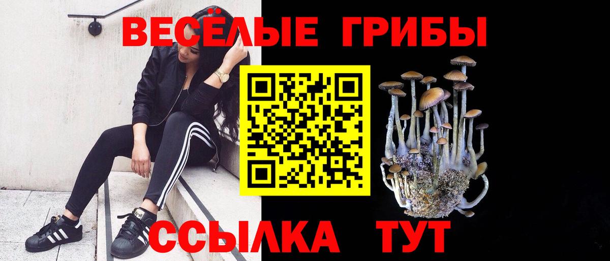 Псилоцибиновые грибы ЛСД Донецк