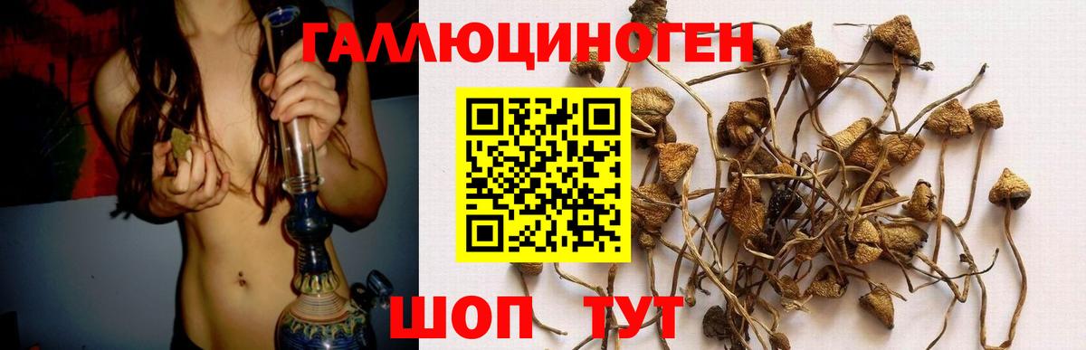 Донецк  Псилоцибиновые грибы GOLDEN TEACHER  Вход с VPN 